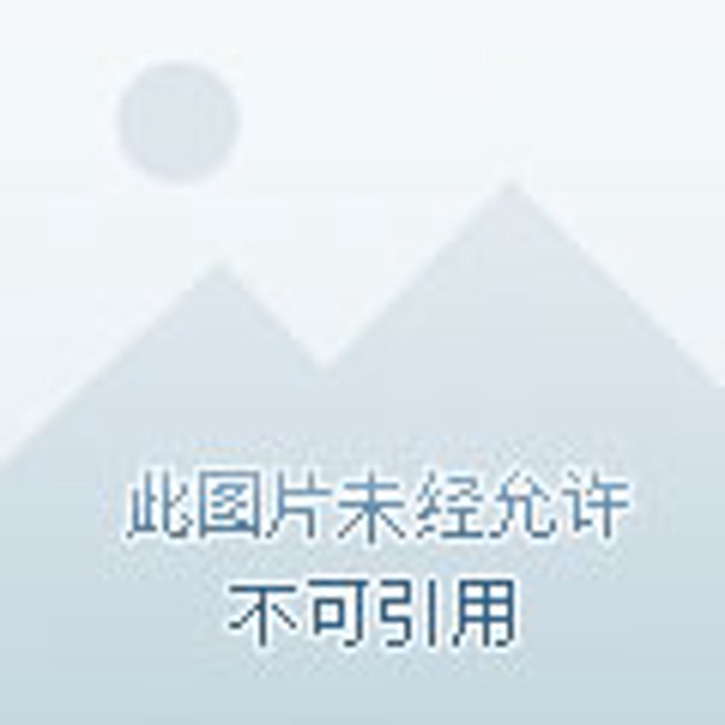 深圳市美恒进出口有限公司：未来趋势与发展方向